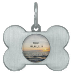 Placa Para Mascotas Nombre y número del elevalunas del faro