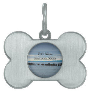 Placa Para Mascotas Nublado En La Etiqueta De Identificación De Pet De