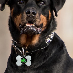Placa Para Mascotas Nudo celta verde irlandés