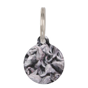Placa Para Mascotas Nueces de búfalo - Caltropo de agua
