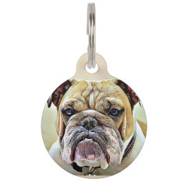 Placa Para Mascotas Número conocido de la etiqueta y de teléfono del