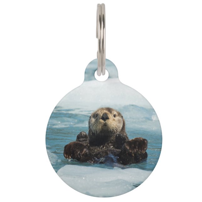 Placa Para Mascotas Obús flotante (Anverso)