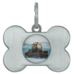 Placa Para Mascotas Obús flotante
