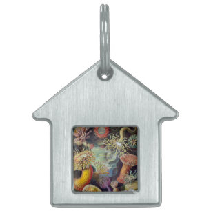 Placa Para Mascotas Océano marino Anemone Científico