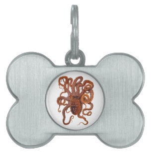 Placa Para Mascotas Octopus Macropus Atlántico Blanco Octopus