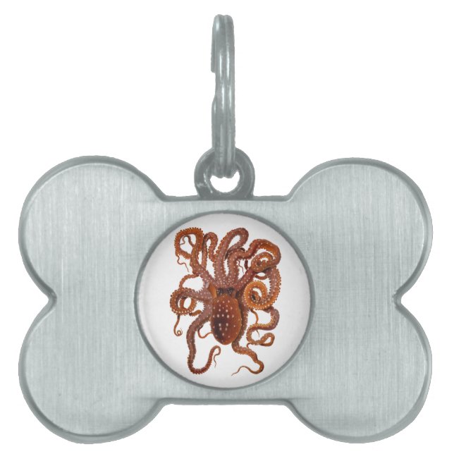 Placa Para Mascotas Octopus Macropus Atlántico Blanco Octopus (Frente)