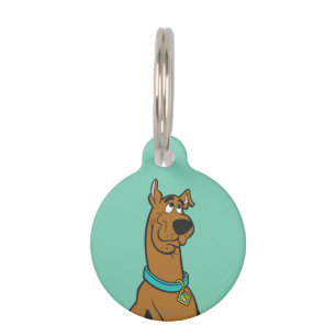 Placa Para Mascotas Ojos de cachorro Scooby-Doo