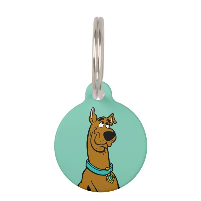 Placa Para Mascotas Ojos de cachorro Scooby-Doo (Anverso)