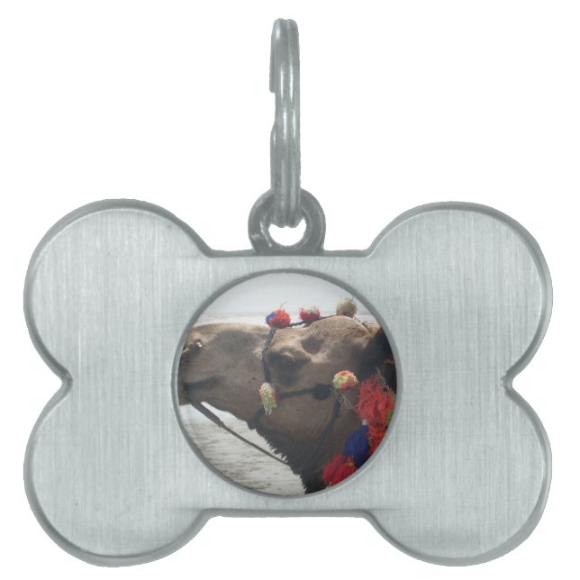 Placa Para Mascotas ¡Omán! Muscat (Frente)