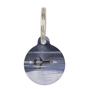 Placa Para Mascotas Orcas