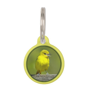 Placa Para Mascotas Orchard Oriole - Foto original