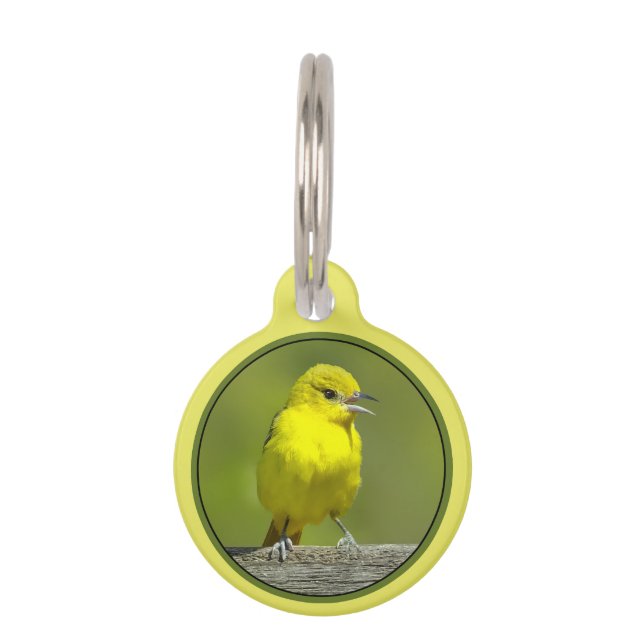 Placa Para Mascotas Orchard Oriole - Foto original (Anverso)
