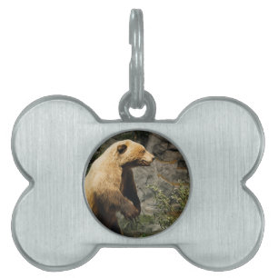 Placa Para Mascotas Orgullo
