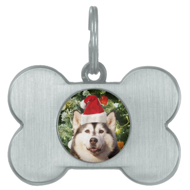 Placa Para Mascotas Ornamento de árbol de navidad siberiano Husky Snow (Frente)