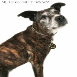 Placa Para Mascotas Oro de aldea