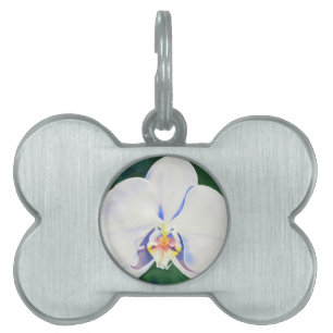 Placa Para Mascotas Orquídea Blanca