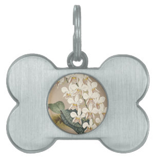 Placa Para Mascotas Orquídeas