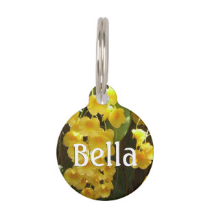 Placa Para Mascotas Orquídeas Amarillas colgando flores tropicales