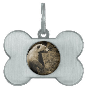 Placa Para Mascotas Oso orgulloso