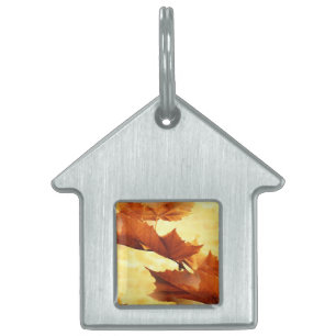 Placa Para Mascotas Otoño