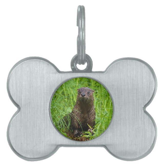 Placa Para Mascotas Otter fluvial inteligente (Frente)