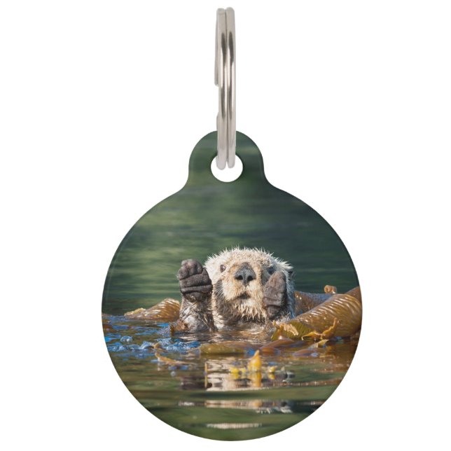 Placa Para Mascotas Otter Sea Otter (Anverso)