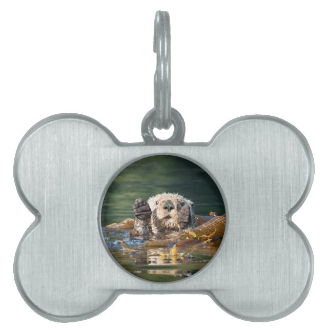 Placa Para Mascotas Otter Sea Otter (Frente)