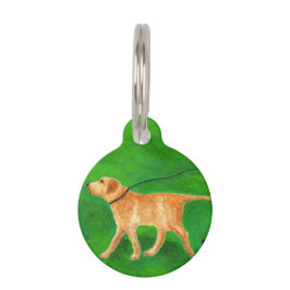 Placa Para Mascotas Out Walking My Dog