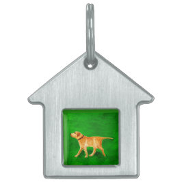 Placa Para Mascotas Out Walking My Dog