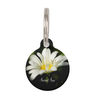 Placa Para Mascotas Oxeye Daisy Round Dog Tag