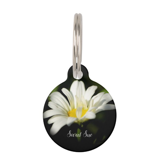 Placa Para Mascotas Oxeye Daisy Round Dog Tag (Anverso)