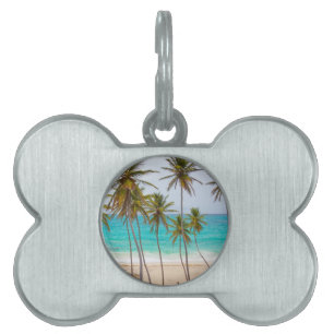 Placa Para Mascotas Palmeras de Playa