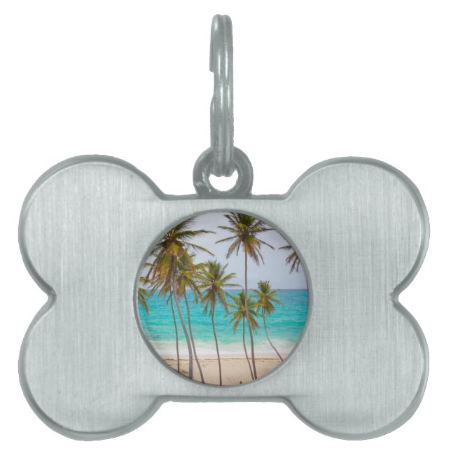 Placa Para Mascotas Palmeras de Playa (Frente)