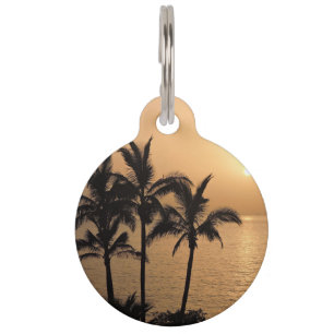 Placa Para Mascotas Palmeras y puesta del sol romántica