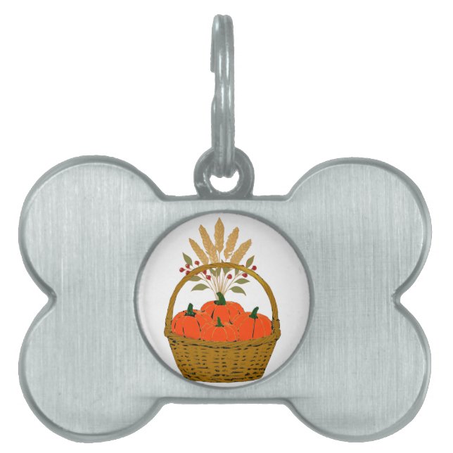 Placa Para Mascotas 🐾 Panier Citrouilles d'Automne (Frente)