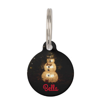 Placa Para Mascotas Pantalla de luz de vacaciones de Snowman