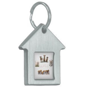 Placa Para Mascotas Paquete de Perros, Paquete de Perros Divertidos