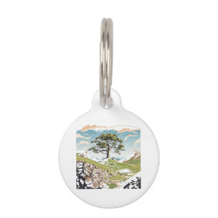 Placa Para Mascotas Parque nacional Northumberland Sycamore Gap Tree