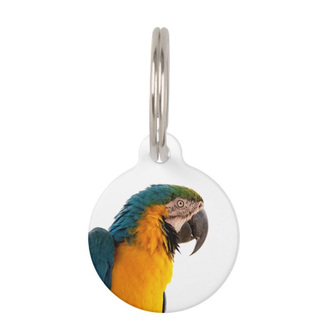 Placa Para Mascotas Parrot Notes (Anverso)