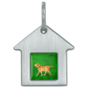 Placa Para Mascotas Paseando a mi perro