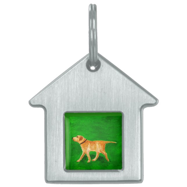 Placa Para Mascotas Paseando a mi perro (Frente)