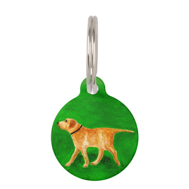 Placa Para Mascotas Paseando a mi perro (Anverso)