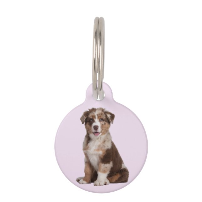Placa Para Mascotas Pastor Australiano | (Anverso)