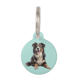 Placa Para Mascotas Pastor Australiano Merle Negro  
