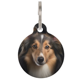 Placa Para Mascotas Pastor de Shetland