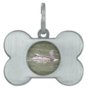 Placa Para Mascotas Pato en la etiqueta de la mascota del lago