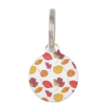 Patrón colorido de hojas de otoño e información de