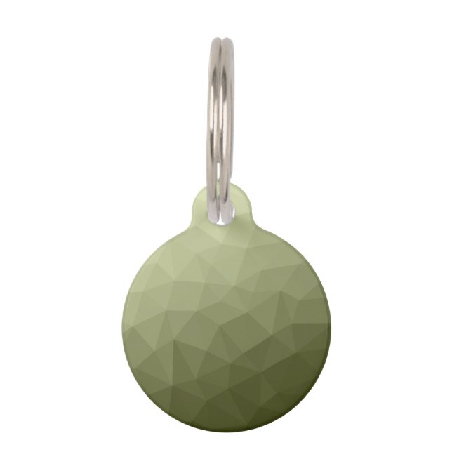 Placa Para Mascotas Patrón de malla geométrica de gradiente verde clar (Anverso)