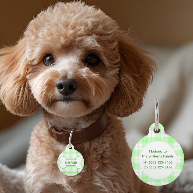 Placa Para Mascotas Patrón de plancha verde Nombre Hueso (Subido por el creador)