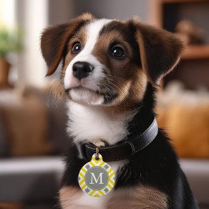 Placa Para Mascotas Patrón monogramado de diamantes de ikat amarillo y